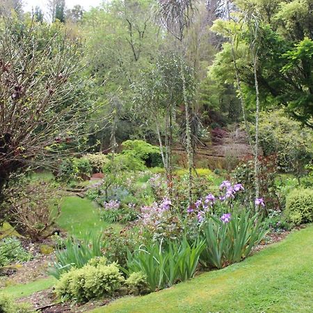 테 쿠이티 Aramatai Gardens B&B 외부 사진