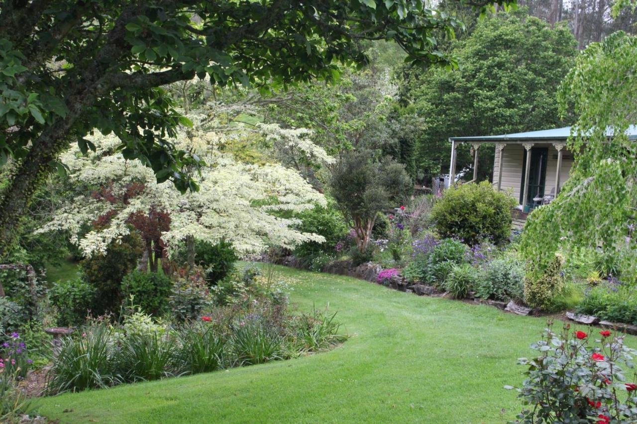 테 쿠이티 Aramatai Gardens B&B 외부 사진