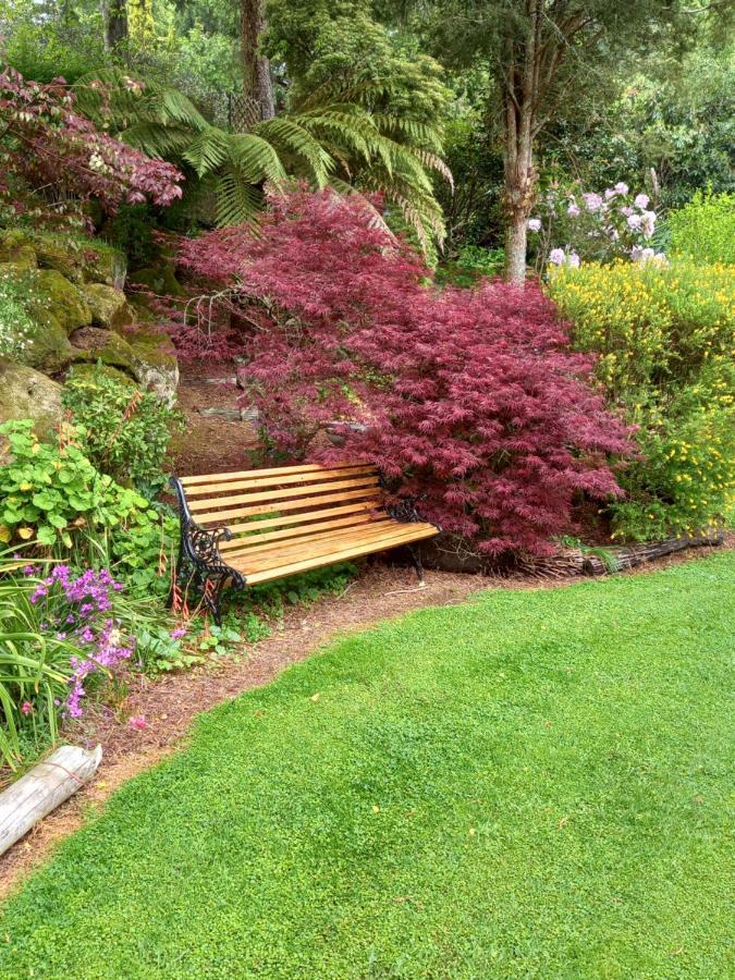 테 쿠이티 Aramatai Gardens B&B 외부 사진